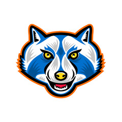 North American Raccoon Mascot