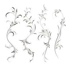 Fototapeta premium Set of calligraphic element, curls, vector