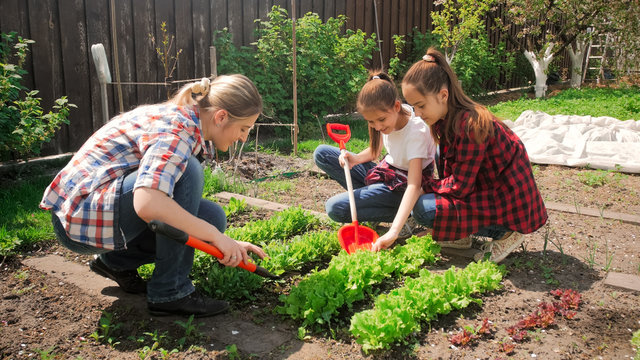 Image of two teenage girls with mother working in backyard garden