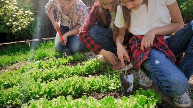 Closeup Photo Of Family Weeding Garden Bed At Bright Sunny Day