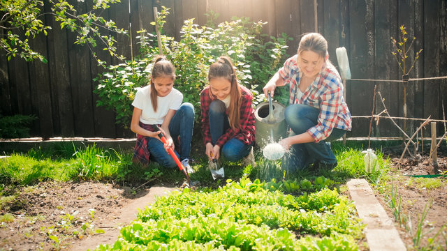Two teenage girls weeding garden bed while young mother watering growing lettuce
