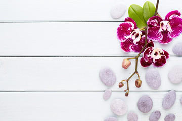 Orchid on a wooden background. Spa and wellnes scene. - obrazy, fototapety, plakaty