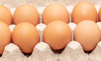 Chicken eggs are folded in a box