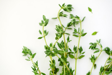 Macro image of bunch of fresh thyme on white background