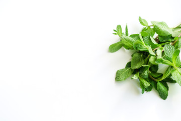 Overhead view of fresh mint leaves on white background with copy space