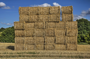 Stack of square straw bales awaiting further transport under a sunny sky on a field in central...