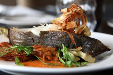Restaurant menu, european dinner fish, turbot or trrout