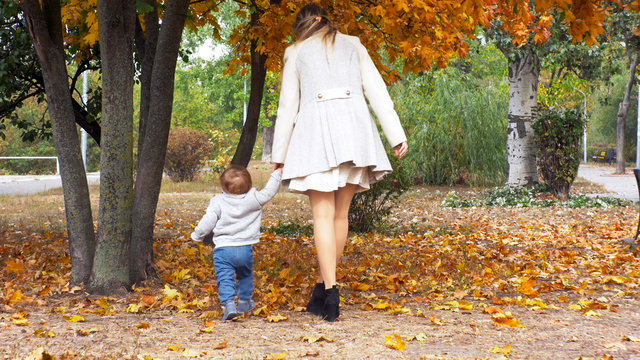 Rear View Image Of Beautiful Mother Holding Her Toddler By Hand And Walking At Autumn Forest