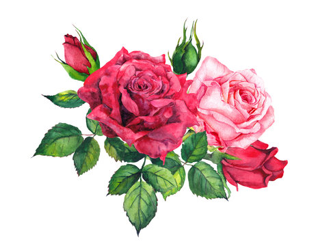 Red and pink roses bouquet. Isolated watercolor