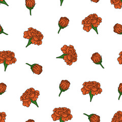 Vector color seamless pattern of marigold flowers - 202326595