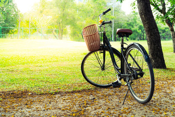 Fototapeta premium Bicycle in the nature park on holiday in the morning scene is an activity for exercise to be biked in the garden.
