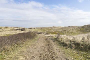 The beautiful dunes in Holland
