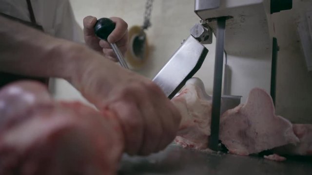 Butcher cut calf bone