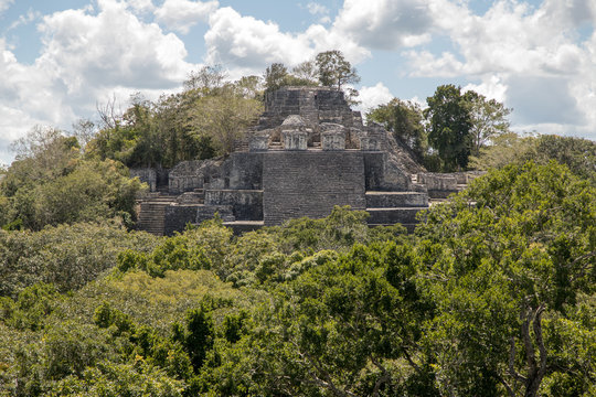Calakmul, Pyramiden, Maya, Mayakultur, Mayastätte, Ruine, Tempel, Dschungel, Wald, Yucatan, Mexiko