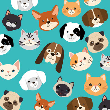 cute cats and dogs heads pattern characters vector illustration design