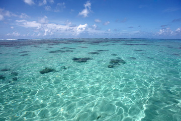 Fototapeta na wymiar Beautiful clear ocean, Punta Cana, Dominican Republic, Caribbean.