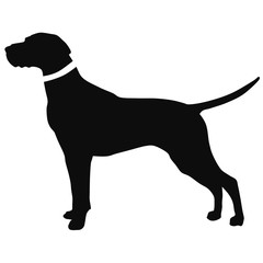 black and white drawing of a hunting dog. The silhouette of the pointer