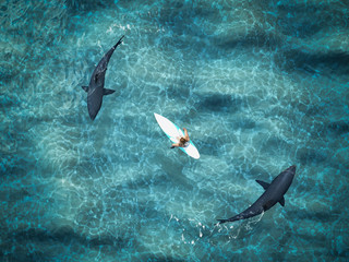 Fototapeta premium surfer surrounded from two sharks. drone view. 3d rendering