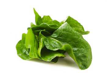 Bunch of fresh spinach leaves on white background