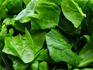 Fototapeta na wymiar Fresh bright green spinach. Sliced spinach on a plate. Leaf of spinach.