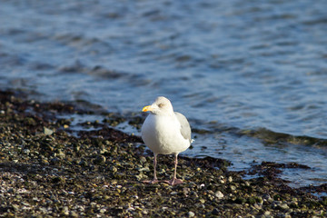On the beach.