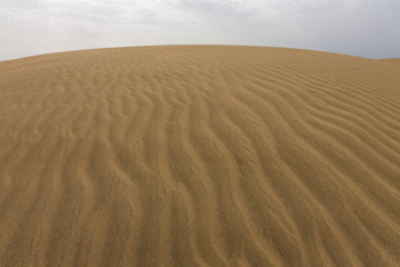 Panorama of the sandy desert