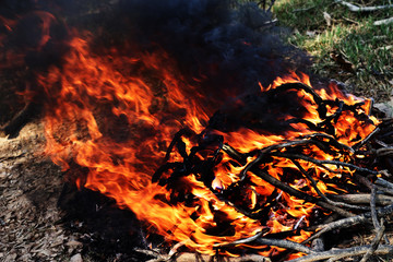 Orange color fire flame and black smoke from burning sticks , Bonfire with combustion air pollutant
