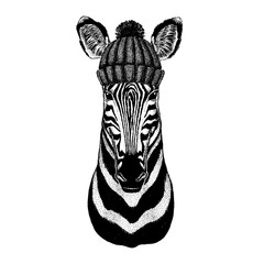 Zebra Horse Cool animal wearing knitted winter hat. Warm headdress beanie Christmas cap for tattoo, t-shirt, emblem, badge, logo, patch