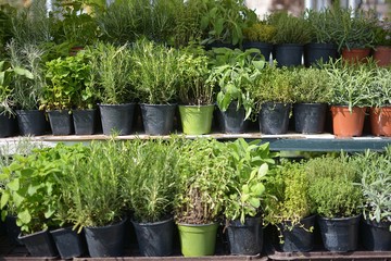 sale of herbs in floral markets
