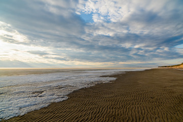 Spring landscape at the Ob reservoir.