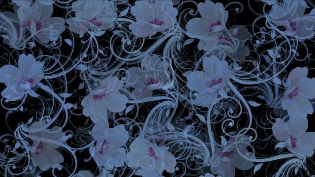 4k flower petals pattern background.