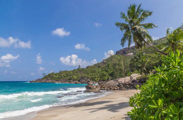 Anse Major Strand auf Mahe Seychellen