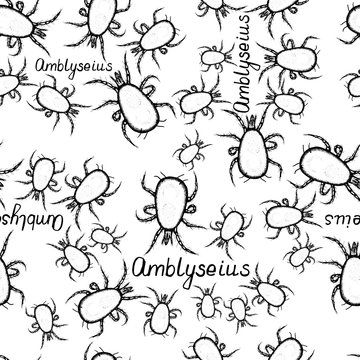 Seamless pattern hand drawn sketch of mite Amblyseius in ink on white background