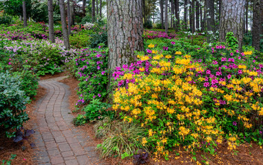 Azalea and Flower Garden in Raleigh, North Carolina