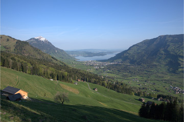 Naklejka premium Zugersee