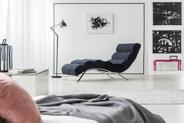 Chaise lounge and bed