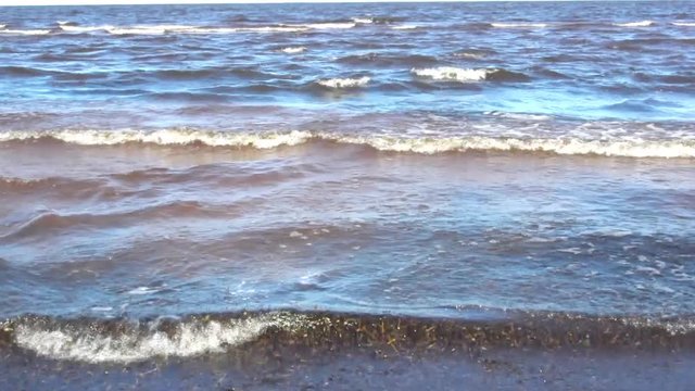 Waves on the Baltic Sea near the shore in windy weather