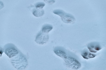 Snow footprints