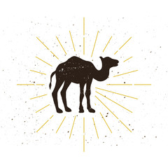 Retro camel silhouette logo