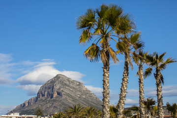 Palm Trees and Montgo in Xabia