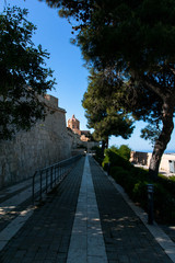 A wonderful passage surrounded by huge trees under the walls