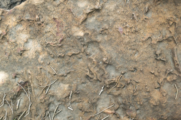 Brown Stone top view texture and background