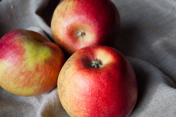 Three red apples on a gray background with space for copy.