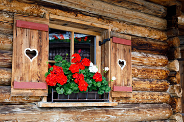 Fototapeta na wymiar Typical bavarian or austrian wooden window with red geranium flowers on house in Austria or Germany