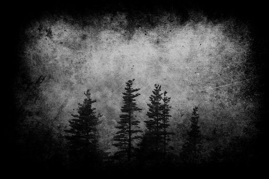 Fototapeta dark landscape with foggy forest at night and grungy textures
