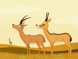 illustration of gazelle