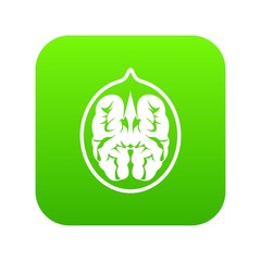 Walnut icon digital green for any design isolated on white vector illustration