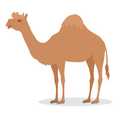 Dromedary Camel Cartoon Icon in Flat Design