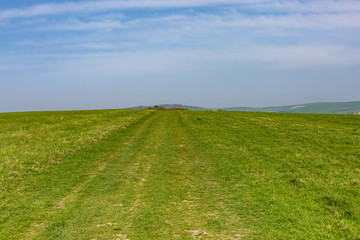A Grass Pathway Through the South Downs