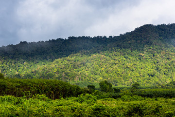 Fototapeta na wymiar Mountains in tropical rainforest Thailand